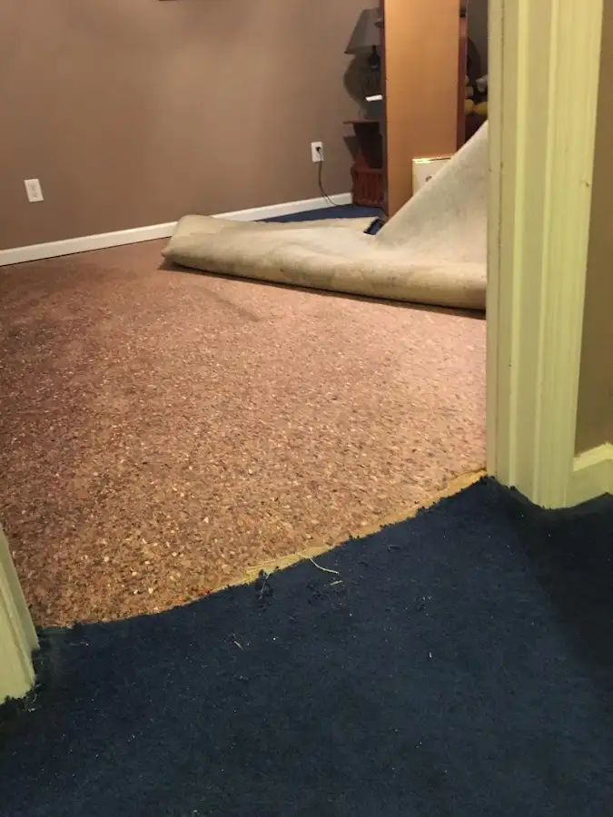 Carpet pad removal revealing water damage during Drying & Dehumidification in Dyersburg