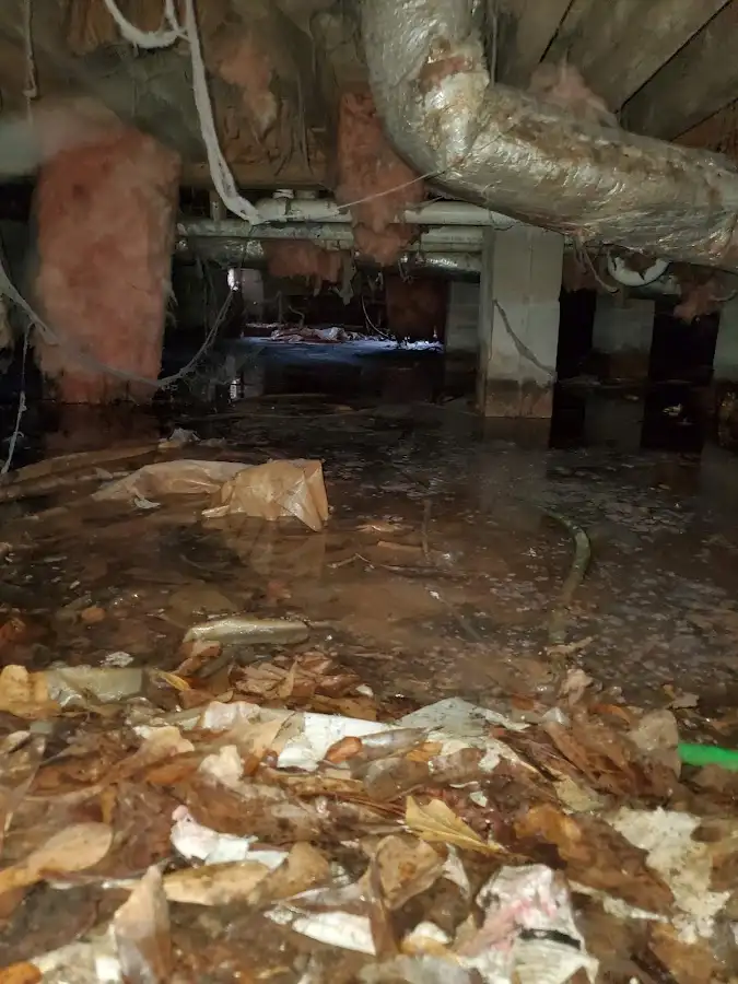 Crawl space flood assessment for Leak Detection & Repair in Dyersburg